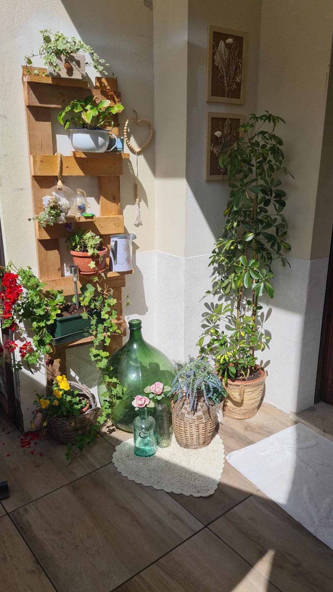 Via Mezzaterra 10 Διαμέρισμα Φέλτρε Εξωτερικό φωτογραφία
